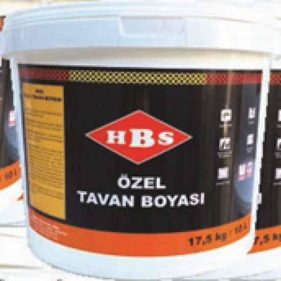 HAKAN BOYA - HBS Özel Tavan Boyası