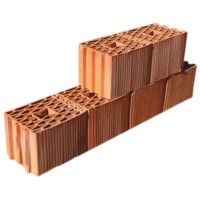 Tekinler Baf Tuğla - 20’lik İzotermo Petek Tuğla - 250 x 200 x 235 mm Ebatlarında