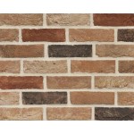 Farklı Renk Tonlarının Karışımı Renkte, 15 mm Kalınlıkta, Yüzey Alanı > 0.04 m² Cephe Kaplama Tuğlası