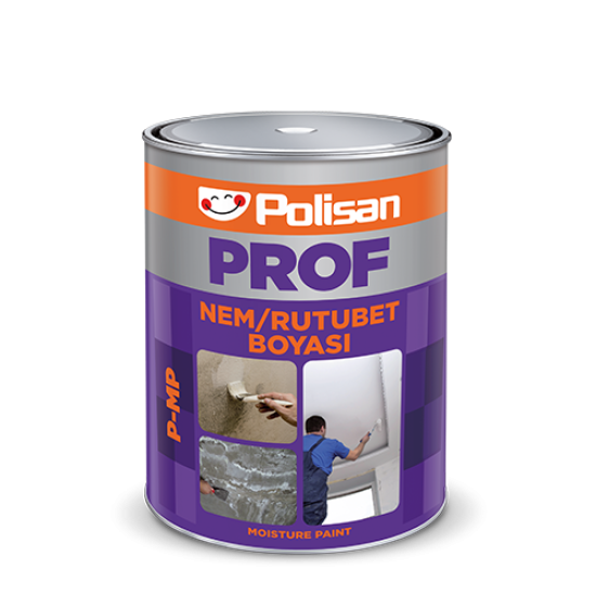 Polisan - Nem Rutubet Boyası (Prof P-Mp)