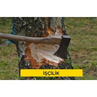 El ile ağaç kesilmesi ve sökme işi, çapı 11-20 cm (20cm dahil) beher ağaç için (Malzeme Hariç) (İşçilik)