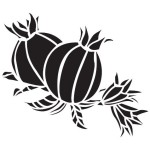 San Deco - Pomegranate - Dekoratif Desen Kalıbı