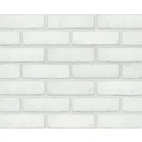Beyaz Renkte, 15 mm Kalınlıkta, Yüzey Alanı ≤ 0.04 m² Cephe Kaplama Tuğlası