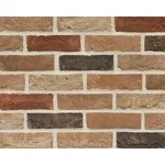 Farklı Renk Tonlarının Karışımı Renkte, 15 mm Kalınlıkta, Yüzey Alanı > 0.04 m² Cephe Kaplama Tuğlası