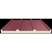 Mekpan Panel - 4 Hadveli Solar Uyumlu Kepli Çatı Paneli (Kalınlık: 50 mm)