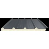 Mekpan Panel - 5 Hadveli Çatı Paneli (Kalınlık: 100 mm)