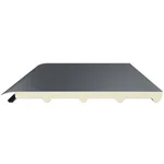 Mekpan Panel - 5 Hadveli Membranlı Çatı Paneli (Kalınlık: 40 mm) (Alt Metal Kalınlığı: 0.6 mm) Mekpan Panel - 5 Hadveli Membranlı Çatı Paneli (Kalınlık: 40 mm) (Alt Metal Kalınlığı: 0.6 mm)