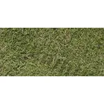 Agrostis tenuis (narin tavus otu) Agrostis tenuis (narin tavus otu)