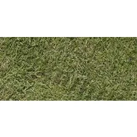 Agrostis tenuis (narin tavus otu)