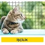 Pencere dışına kafes tel yapılması (Malzeme Hariç) (İşçilik)