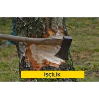 El ile ağaç kesilmesi ve sökme işi, çapı 11-20 cm (20cm dahil) beher ağaç için (Malzeme Hariç) (İşçilik)