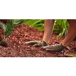 Malç (Naturel Renkte Ağaç Kabuğu) Malç (Naturel Renkte Ağaç Kabuğu)