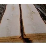 Meşe Kerestesi (her boyutta biçilmiş)