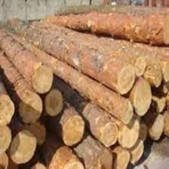 2. Sınıf Çam Yuvarlak Yapı Odunu (her boyutta biçilmiş)