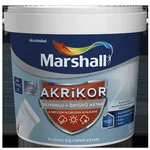 Marshall Boya - Akrikor Silikonlu + Örtücü Astar - Su Bazlı Astar